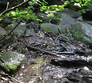 Heslacher Wasserfälle