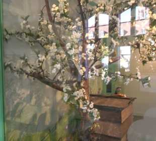 Museum Natur und Mensch