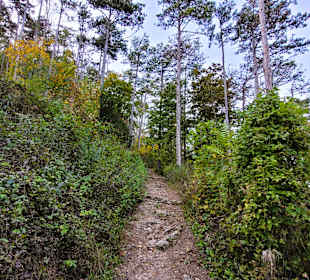 Steinig und teilweise steiler Weg
