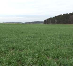 Wanderweg Kunst der kleinen Schritte