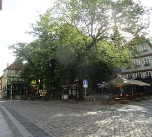 Restaurant Benedikt