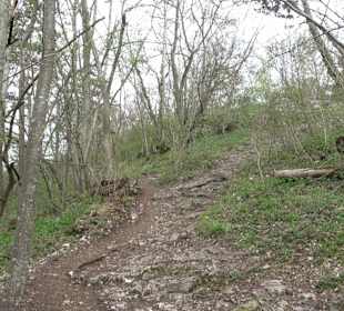 Wanderung rund um das Rusenschloss Gerhausen