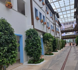 Stadtrundfahrt Istanbul