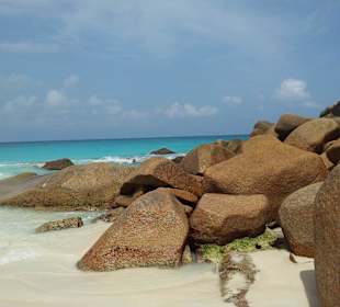 Ausflug mit Mario von Edelweiss Tours