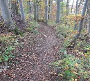 Wandern Rauberweide