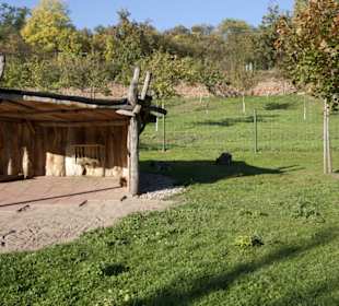Thüringer Zoopark Erfurt 