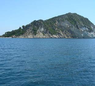 Остров черепах