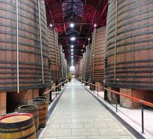 Im Fasslager der Kellerei
