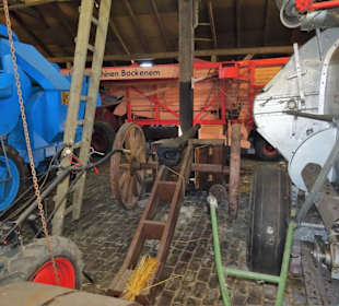 Rundgang durch die Gulfhofanlage des Museums