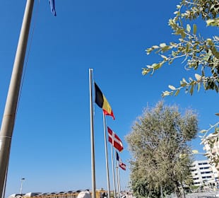 Die Fahnen weisen drauf hin