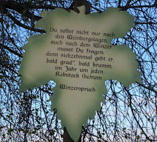 Weinlehrpfad Edenkoben
