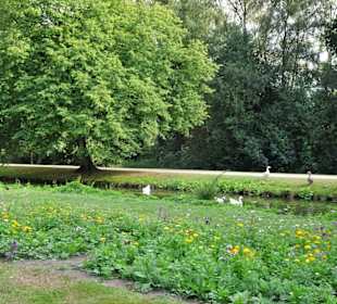 Spaziergang durch die sommerlichen Graftanlagen