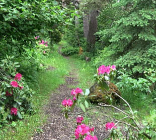 Mezger's Bürgle Park