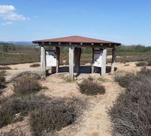 Mehlinger Heide