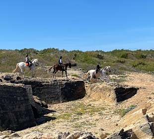 Reiten Can Picafort