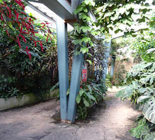 Wilhelma Stuttgart