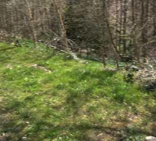 Wanderung Florianrunde