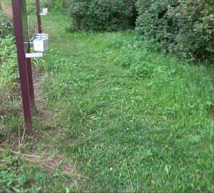 ALB-GOLD Naturgarten