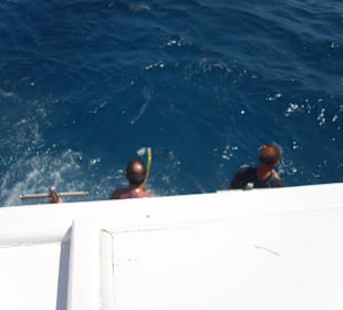 Schnorcheln und Tauchen