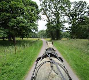 Pferdekutschenfahrten (Jaunting Cars)