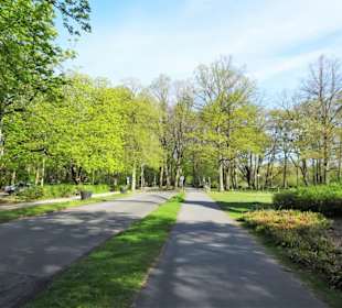 Zufahrt zum Parkplatz am Hermann-Löns-Park