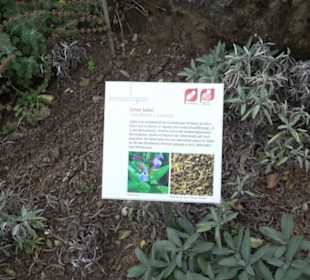 Apothekergarten