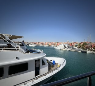 Delfin Tour Hurghada