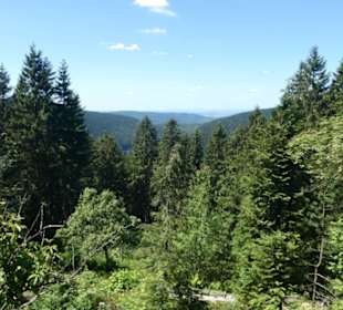 Eindrücke aus dem Rennsteiggarten