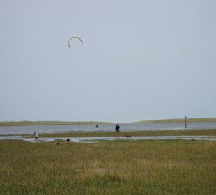 Blick zur Salwiese und zum Watt