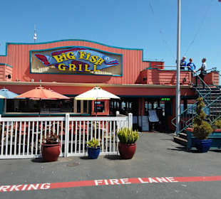 Auf den Spuren der Siedler