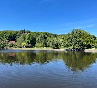 Forellenteich Ilsenburg