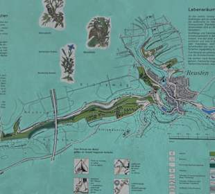 Burg Kräheneck Reusten