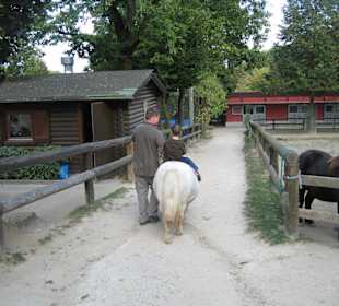 Pony Reiten
