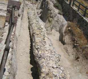 Versteinerter Wald Motiv 2