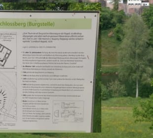 Ruine Schlossberg Altensteig