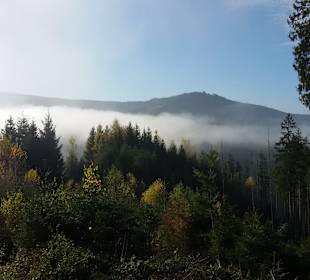 Morgens auf dem Weg zur Panoramahütte.