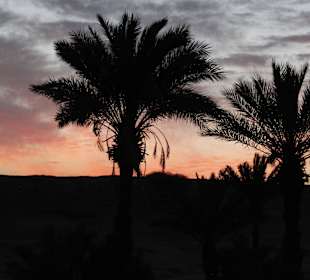 Sonnenaufgang in der Wüste