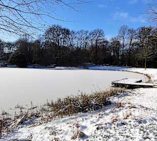 Winterspaziergang durch den Bürgerpark