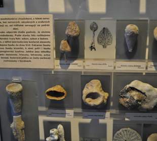 Národní muzeum