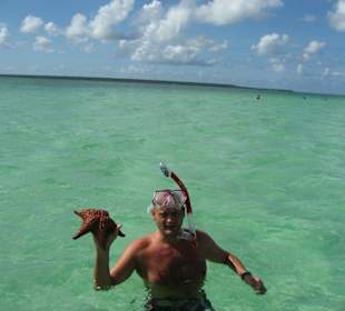 Seesterne in der Badewanne
