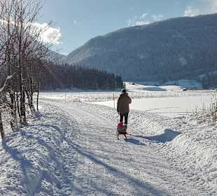 Ehrwalder Alm