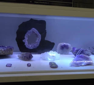 Museum für Naturkunde