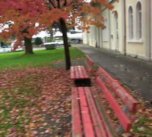 Segelhafen Lindau-Insel
