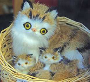 Im Schaufenster Geschäfte