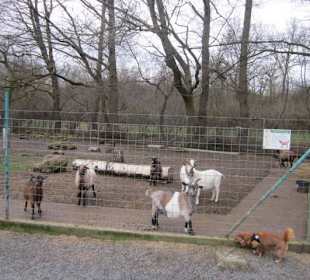 Tierpark Bad Schönborn