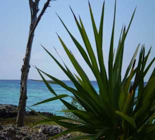 Wunderschöne Küste