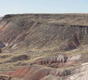 Painted Desert _вид1