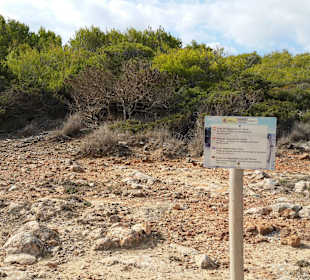 Unterwegs die Aussicht