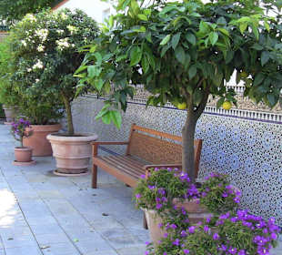 Orientalischer Garten
