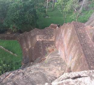 Elefantenreiten Sigiriya
